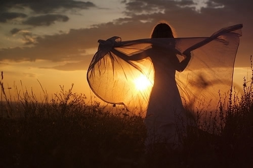 .奚.