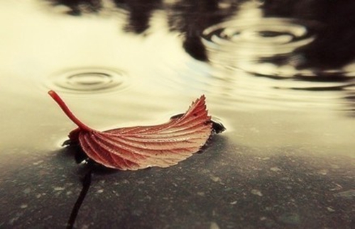 .陆.