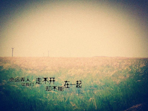有气质带梦字的网名很伤感2