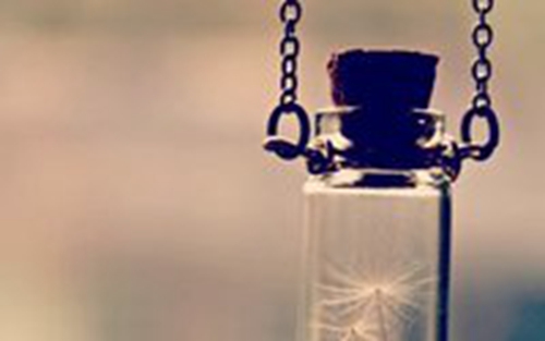 老鼠的英文网名ins