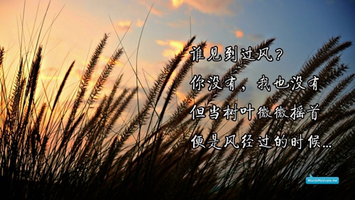表示未来可期的网名有哪些