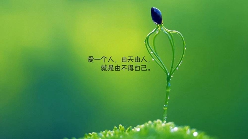 又复杂又简单的网名