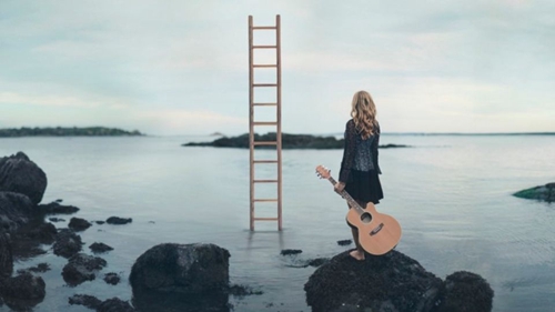 .曲.