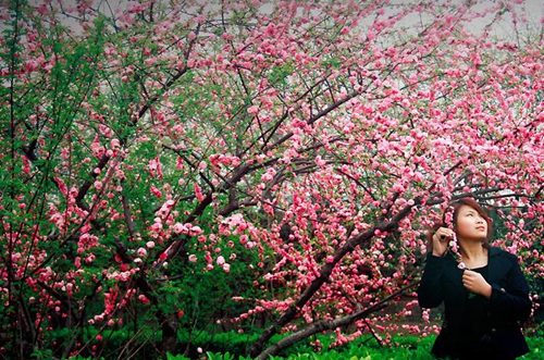 锲而舍之，朽木不折;锲而不舍，金石可镂。——荀况