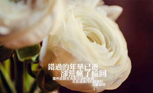 2022最新版的姐妹网名