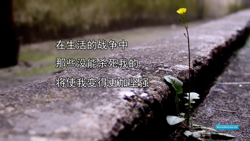 伤感网名女生心碎四字