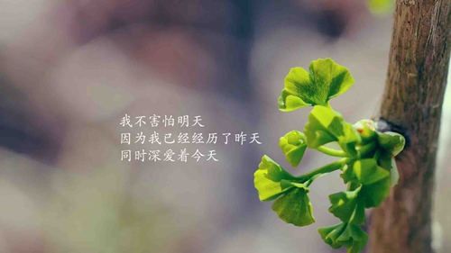 姓李的有趣网名