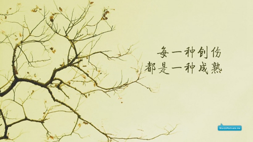罗云杭音乐人个人资料