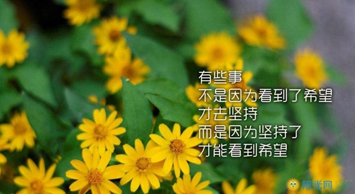 钟姓男孩名字顺口好听（钟氏男新生儿取名忌什么）