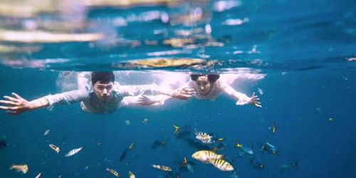 殷姓男孩子取名最佳排行榜（生肖牛）（姓殷的男孩名字有木有水霸气）