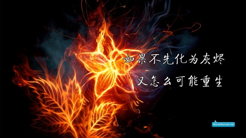 抖音梗网名