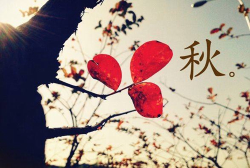 超仙网名女