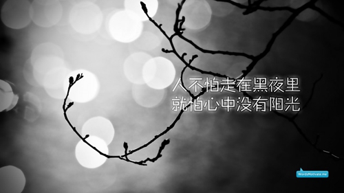 女生网名傲气胆小鬼怎么理解