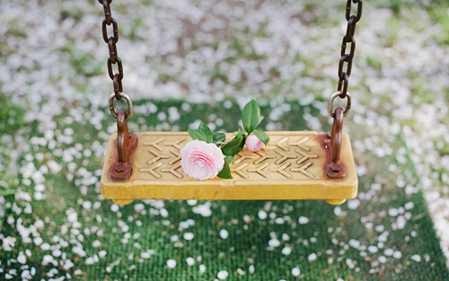 杠上开花手机壁纸